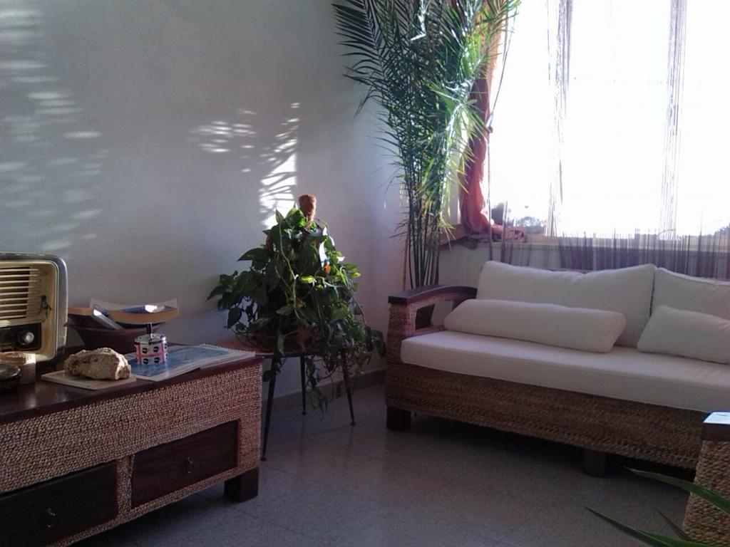 B&B Su Rizolu Sagama Extérieur photo